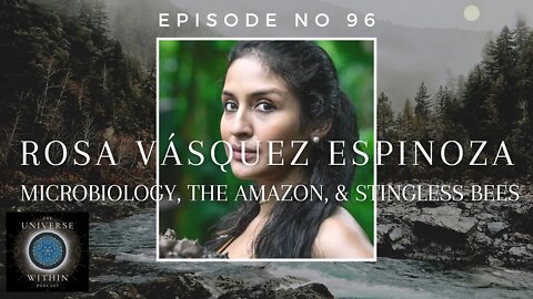 Universe Within Podcast Ep96 - Dr. Rosa Vásquez Espinoza - Microbiology, Amazon, & Stingless Bees