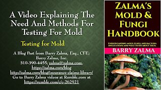 A Video Explaining the Need and Methods for Testing for Mold