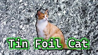 Tin Foil Cat - Area 51