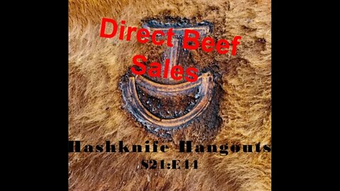 Direct to Consumer Beef Sales | Benefits & Disadvantages (Hashknife Hangouts - S21:E44)