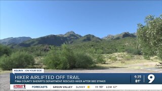 Hiker airlifted from Sabino Canyon after bee stings