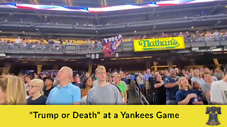 "Trump or Death" at a Yankees Game