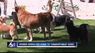 Woman opens home for dogs deemed "unadoptable"