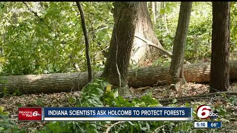 Hundreds of scientists ask Gov. Holcomb to protest forests