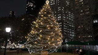 Madison Square Park Christmas Tree Lighting NYC USA 2021