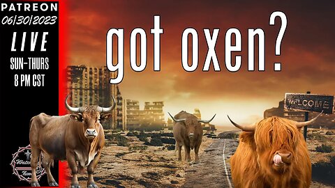 The Watchman News - YouTube Prepper / Prepping Channel Challenge Question - Got Oxen? After 2 Years?