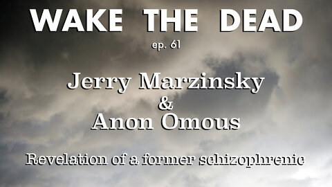 WTD ep.61 Jerry Marzinsky & Anon Omous 'revelation of a former schizophrenic'