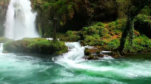 MÚSICA RELAXANTE - ACALMAR A MENTE PIANO E NATUREZA