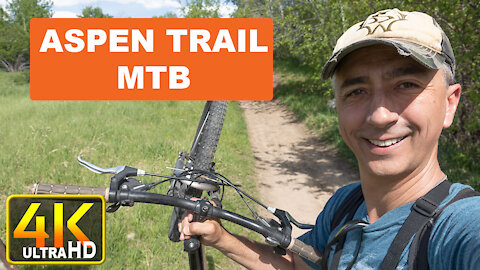 MTB With Crashes the Aspen Trail in Driggs Teton County Idaho (4k UHD)