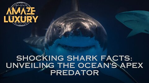 Shocking Shark Facts: Unveiling the Ocean's Apex Predator