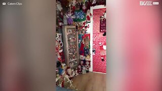 Un homme collectionne jusqu'à 300 pères Noël!