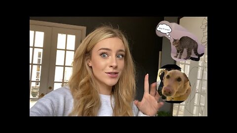 VLOGMAS DAY 6: Dog meets cat