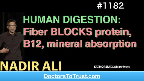 NADIR ALI 4‘ | HUMAN DIGESTION: Fiber BLOCKS protein, B12, mineral absorption