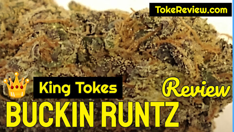 King Toke's Review of the Buckin Runtz Marijuana Strain