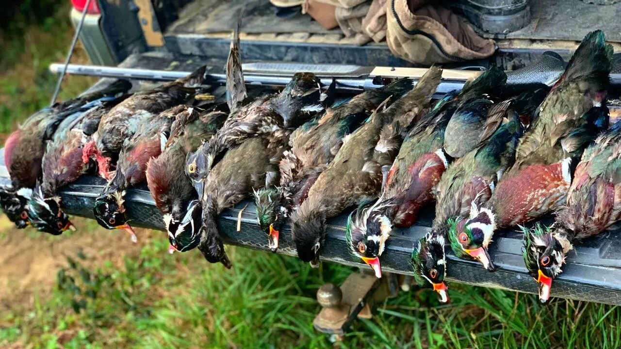 Duck Season 2022! (ARKANSAS of the EAST) Duck Breakfast Tacos