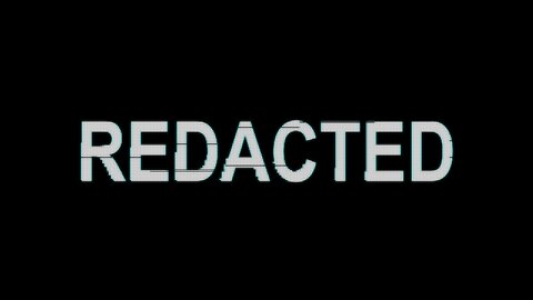 The TRUTH is coming out in the Baltimore bridge cyber attack_ Lara Logan _ Redacted News