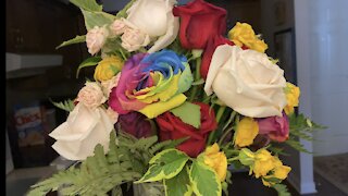 Rainbow roses? Wow, it’s real!