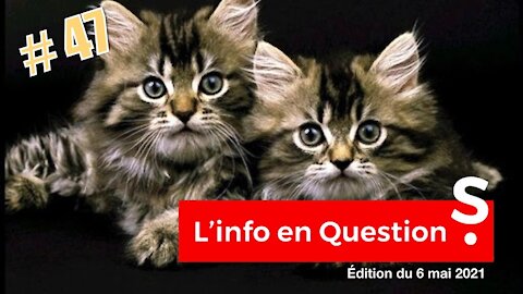 L'INFO enQuestionS #47 – LIVE avec Amélie Paul – Jeudi 6 mai 2021