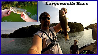 Fishing from a Boat at Blue Marsh Lake