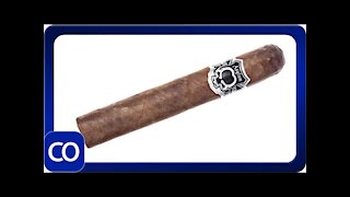 Asylum Nyctophilia Robusto Cigar Review