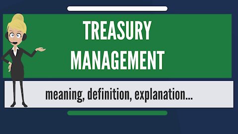 What is TREASURY MANAGEMENT? What does TREASURY MANAGEMENT mean?