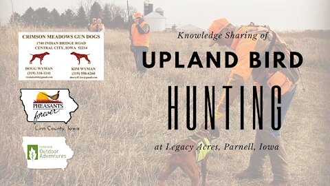 Iowa Outdoor Adventures - Linn County Pheasants Forever Pheasant Hunt