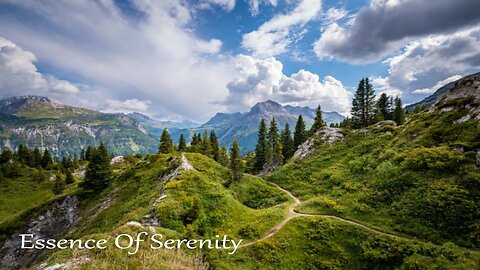 Relaxing Piano Music for Study, Relax, Focus, and Stress Relief 🍃 Essence Of Serenity