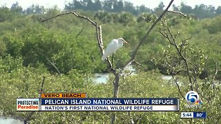 Pelican Island: The first National Wildlife Refuge