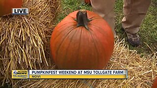 Pumpkinfest Weekend