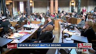 Senators debate state budget