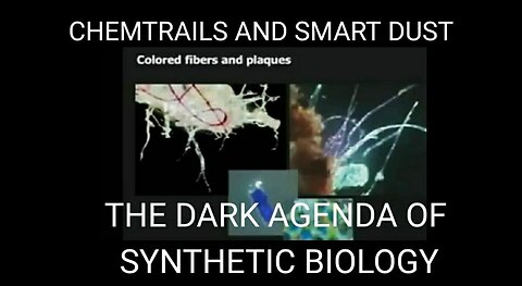 The Dark Agenda of Synthetic Biology. Chemtrail Nano-Bot Smart Dust is Everywhere Sofia Smallstorm