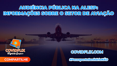 AUDIÊNCIA PÚBLICA NA ALESP: INFORMAÇÕES SOBRE O SETOR DE AVIAÇÃO