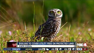 Cape Coral to cover fees on protected land