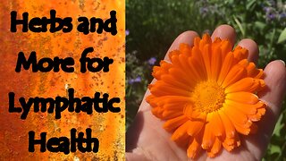 Herbs and More for Lymphatic Health