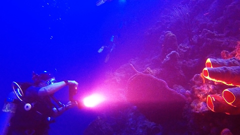 Divers explore mysterious Black Hole dive site