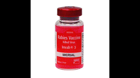 Do Rabies Vaccines Kill Our Pets ? .....