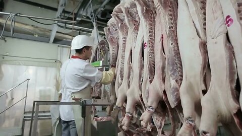 Butcher Cutting Pork Meat in Meat Factory. Fresh raw pork chops in meat factory. Meat processing in