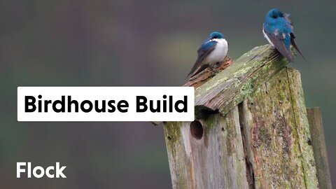 BUILDING BIRDHOUSES for our winged friends — Ep. 081