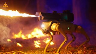 Thermonator: the first-ever flamethrower-wielding robot dog. What could go wrong?