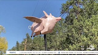 Jefferson County man hopes to slow speeding drivers with help from a flying pig