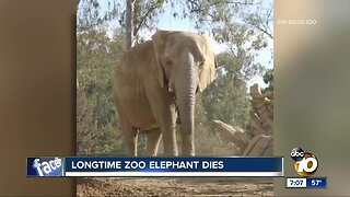San Diego Zoo announces death of beloved elephant