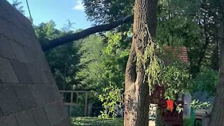 Un arbre tombe sur la cabane des enfants