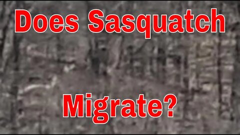 Does Sasquatch Migrate?