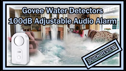 Govee Water Sensor Smart Leak Detector 100dB Adjustable Audio Alarm Free App QUICK REVIEW