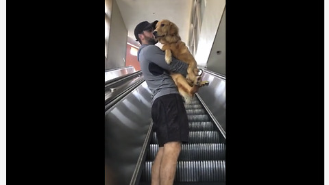 Scared dog needs to be carried up escalator