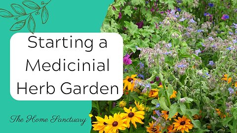 Early Spring Medicinal Herb Garden PART 1