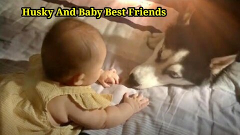 Husky And Cute Baby Best Friends