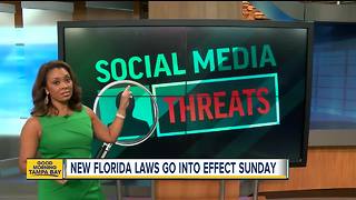 New Florida laws that go into effect July 1, 2018