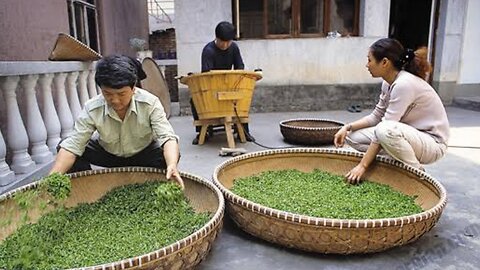 tea making process | how tea made from raw material