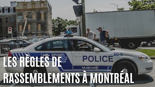 Rassemblements à Montréal : Le SPVM nous explique les règles à suivre
